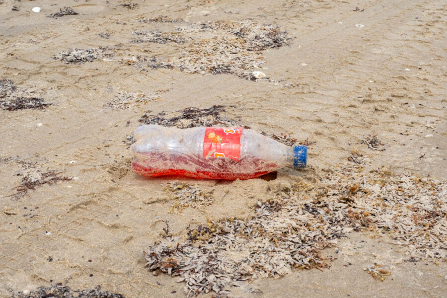 Beach Litter